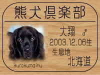 �I���E�j�[�i�̂����񂳂��BLOG��GO!